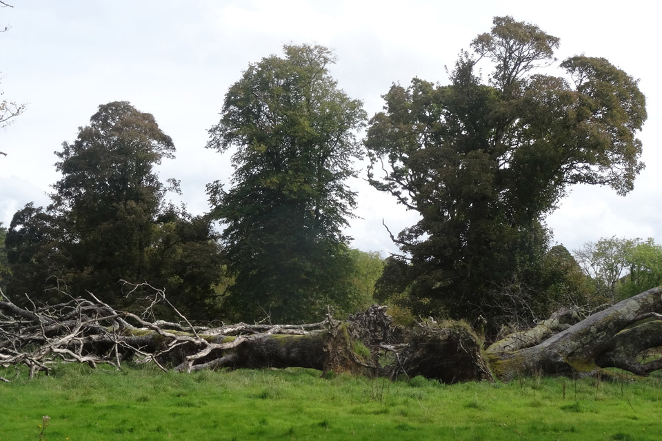 Killarney National Park